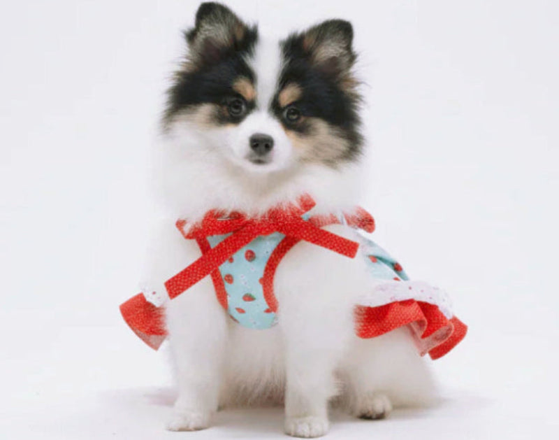 Dog Dresses