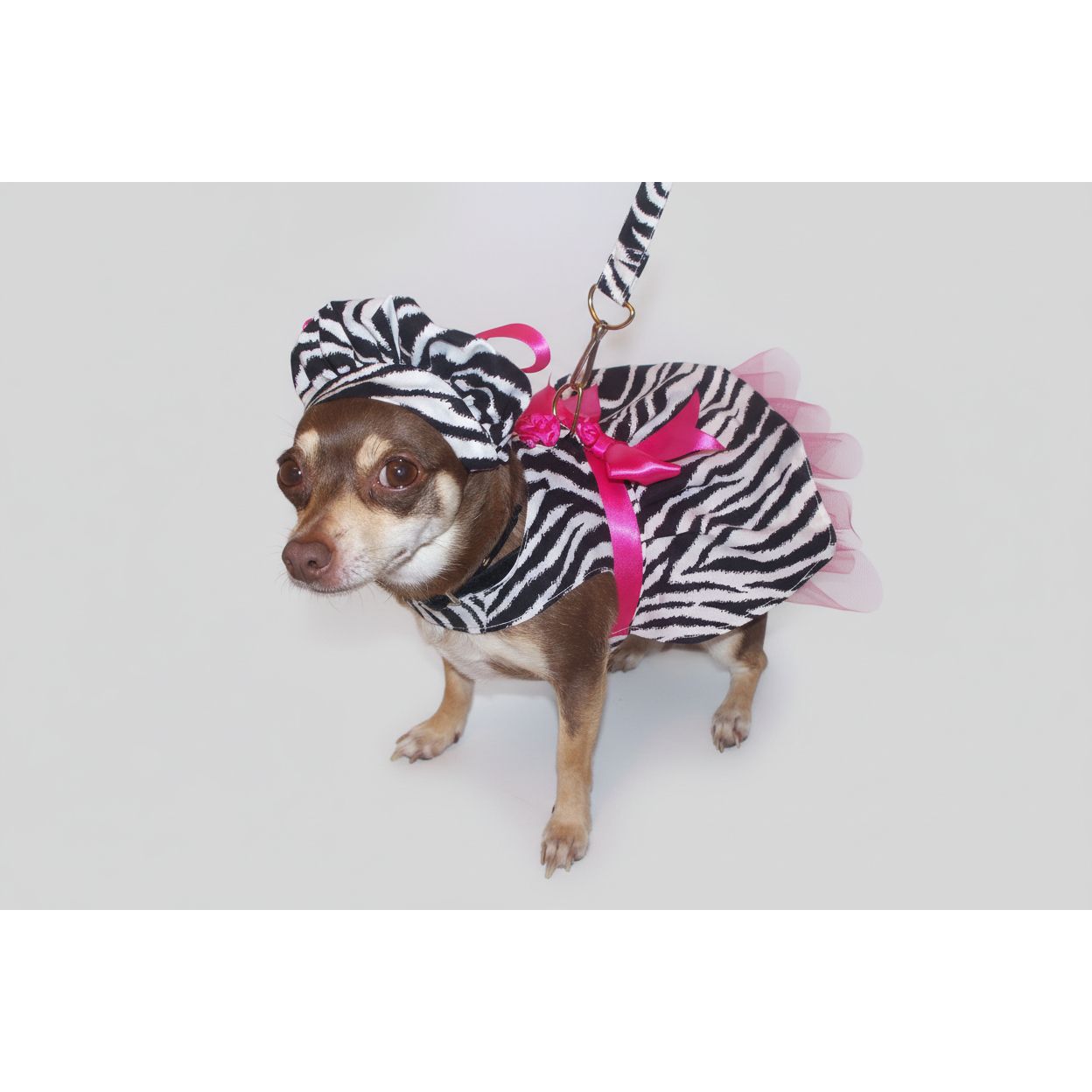 Hot pink zebra dress, hat and leash set.