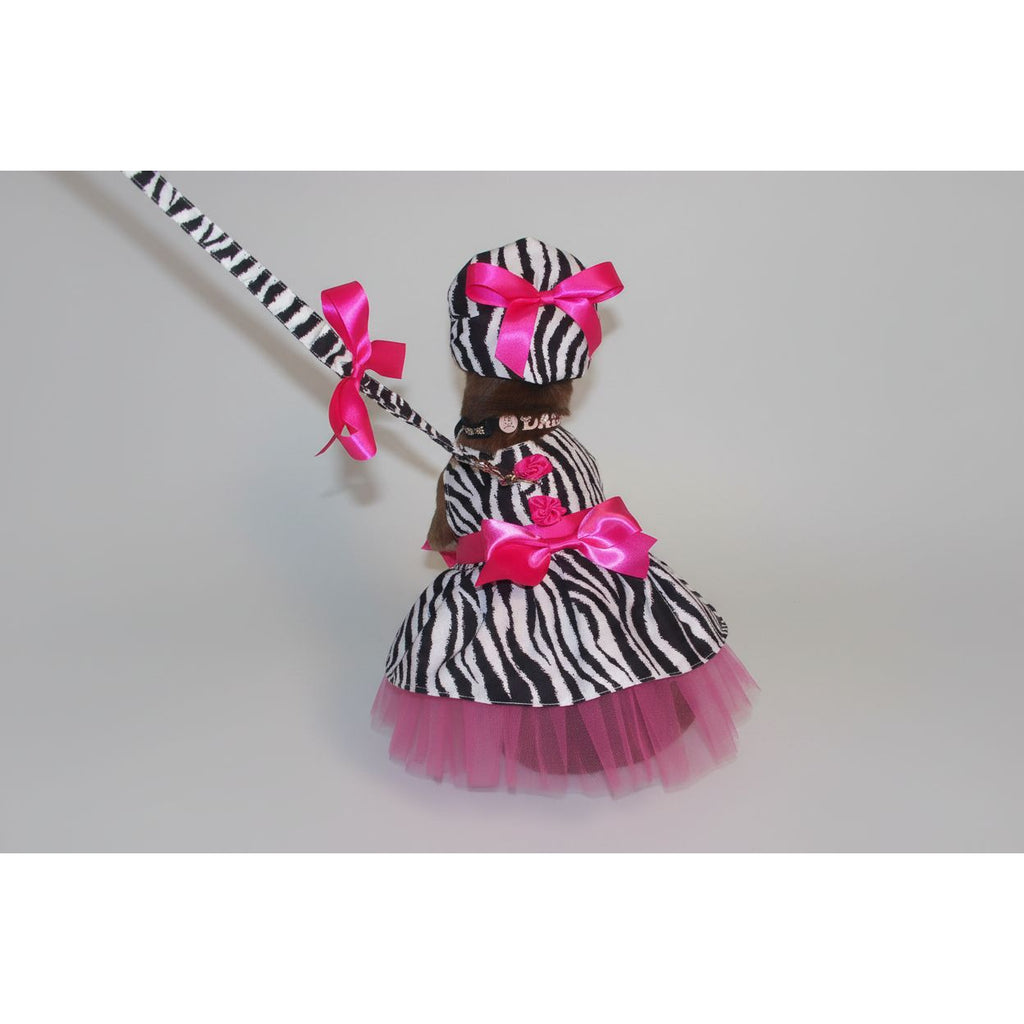 Hot pink zebra dress, hat and leash set.