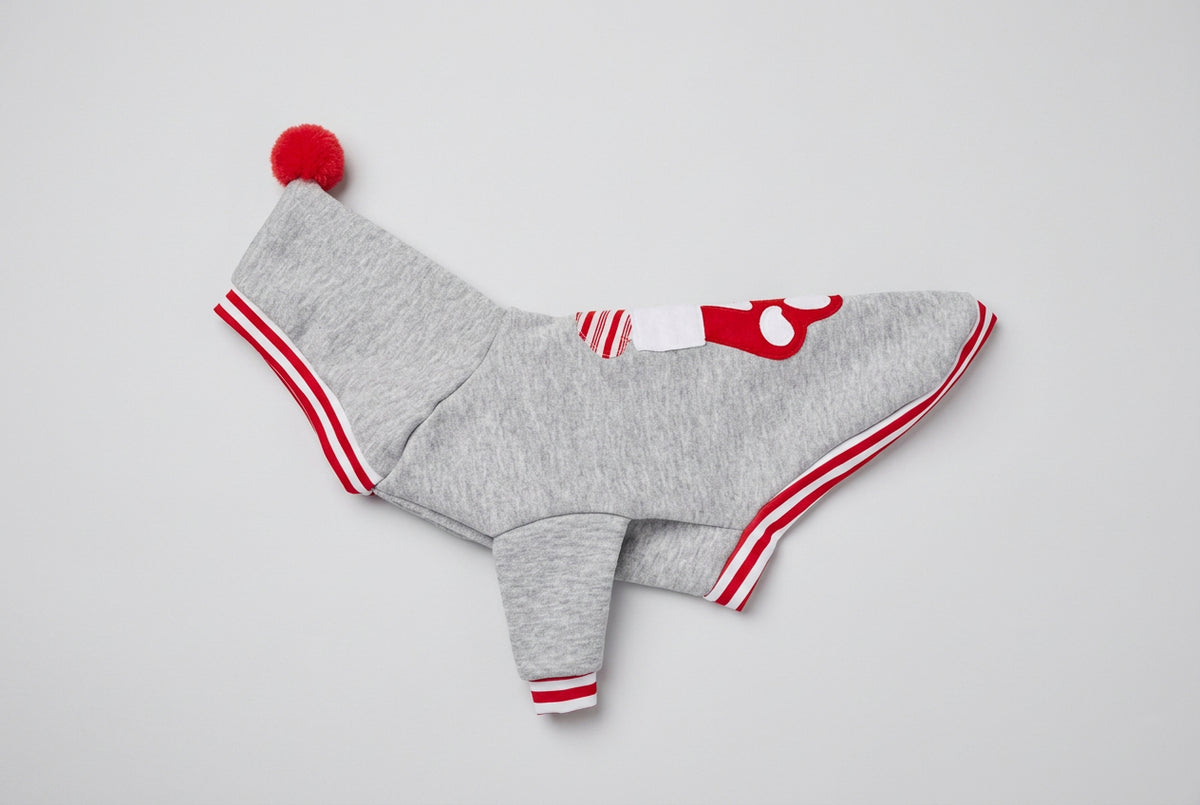 Christmas Paw Dog Hoodie