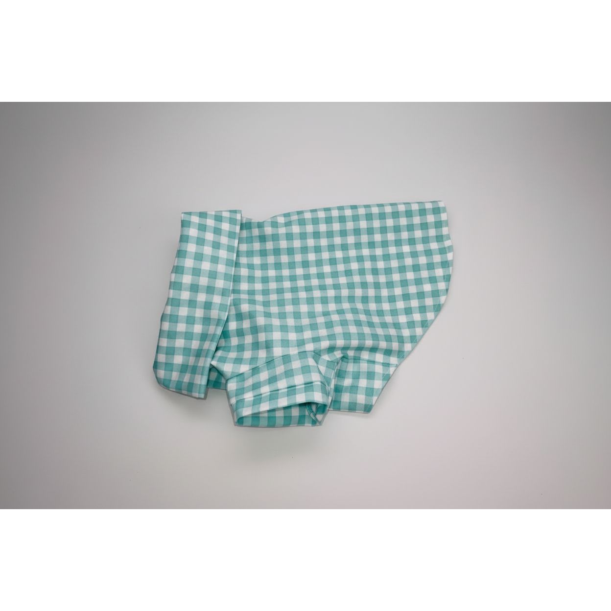 Seafoam green gingham checker short sleeve summer collar dog shirt.