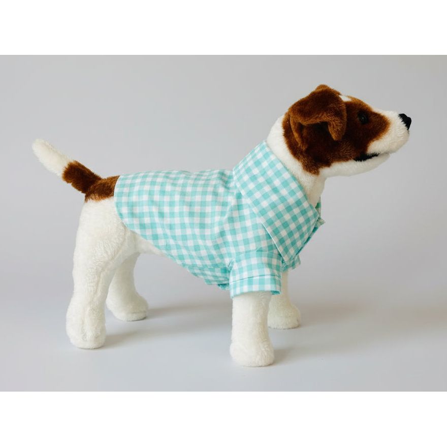 Seafoam green gingham checker short sleeve summer collar dog shirt.