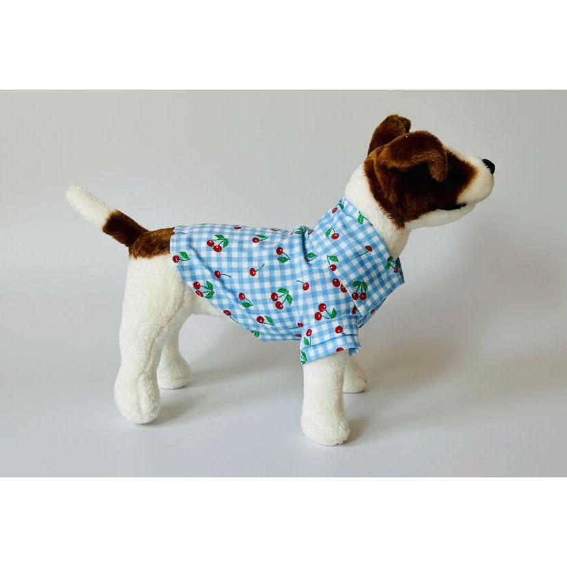 Baby blue gingham checker print with cherries on top summer collar dog shirt.