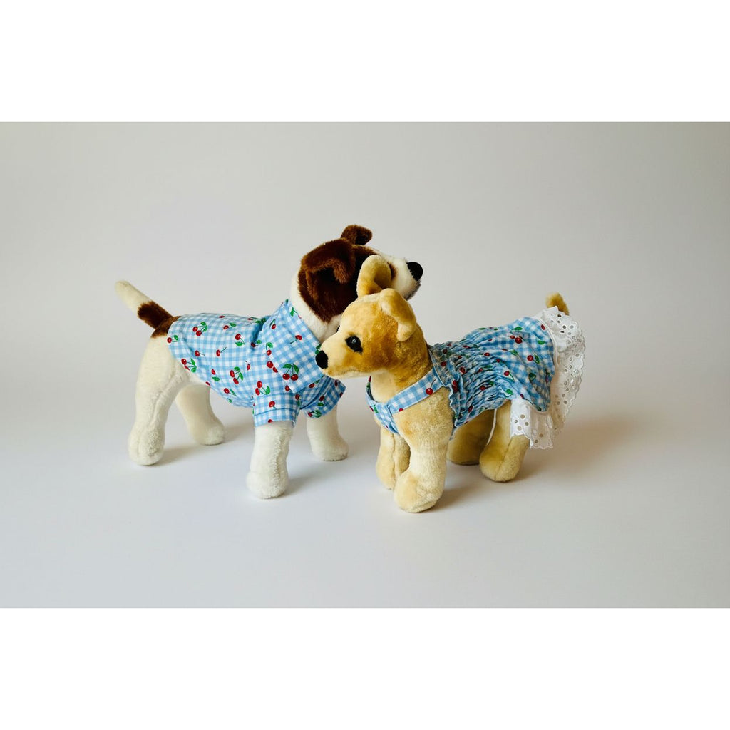 Two stuffed dogs wearing matching outfits on a plain background