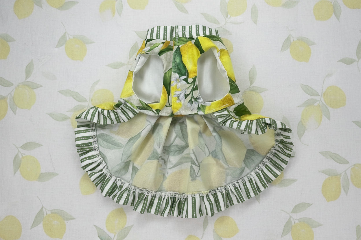 dog dress with floral and lemon pattern on a white background