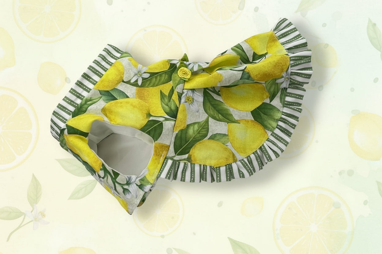 dog dress with a  lemon pattern on a white background