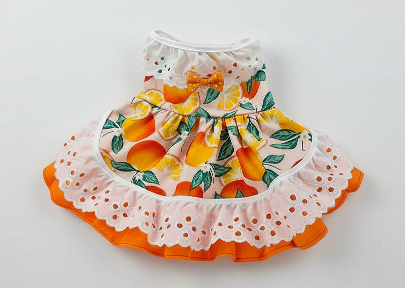 dog dress with fruit pattern on a white background