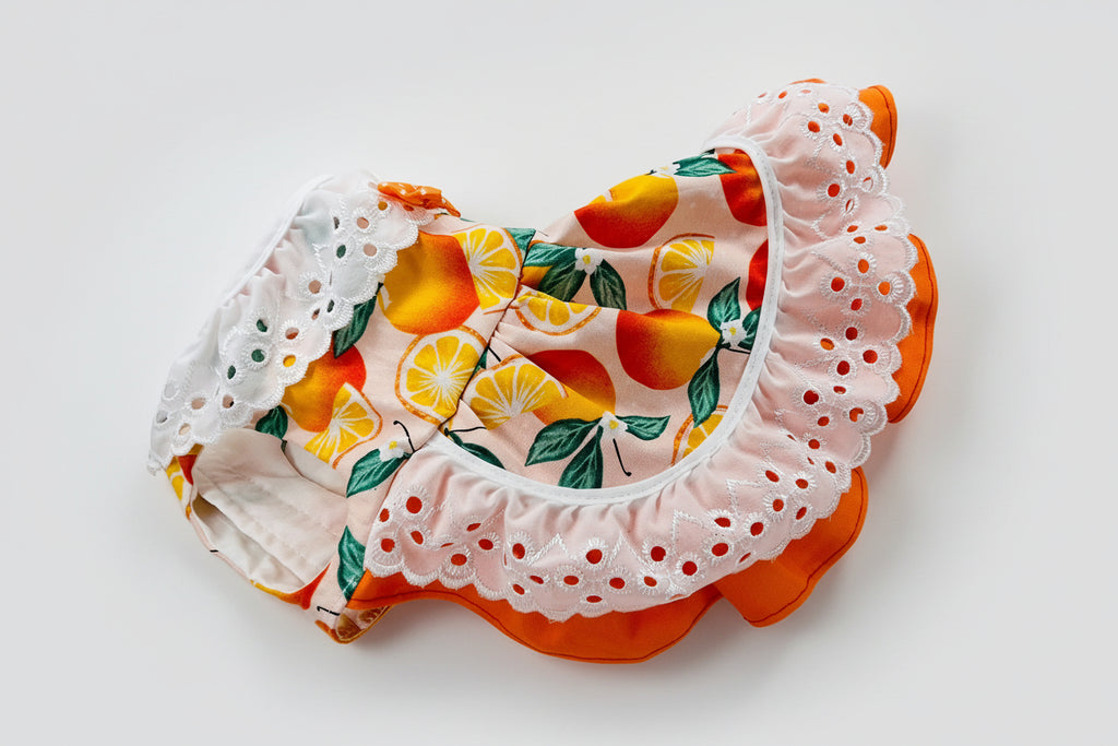 dog dress with fruit pattern on a white background