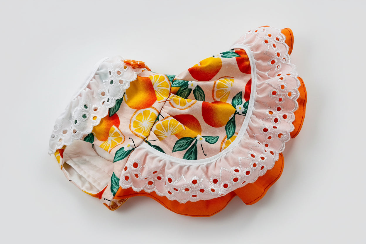 dog dress with fruit pattern on a white background