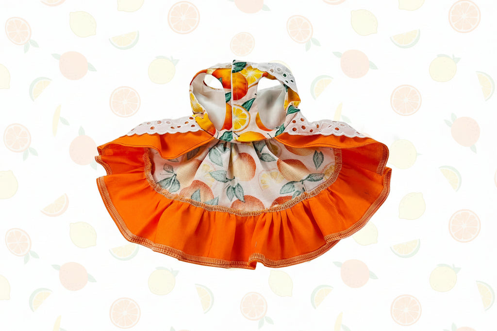 Fruit-themed dog dress with orange ruffled skirt and matching headband on a white background