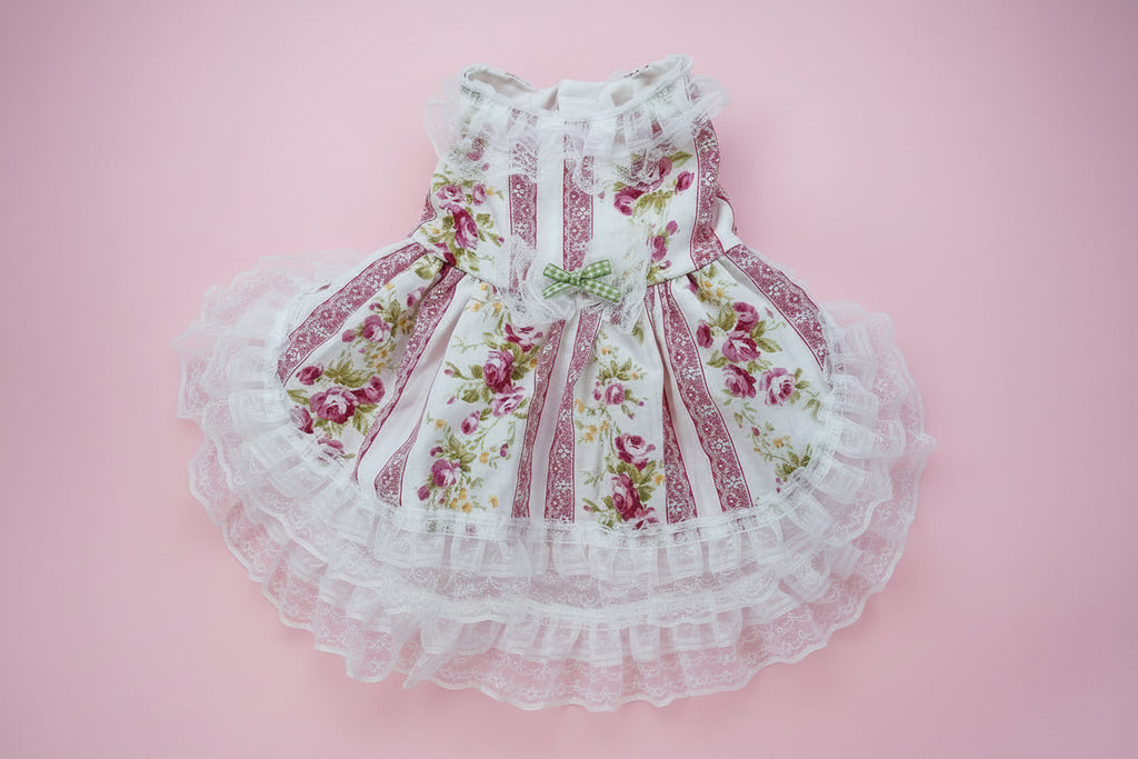 Floral dog dress with lace details on a pink surface
