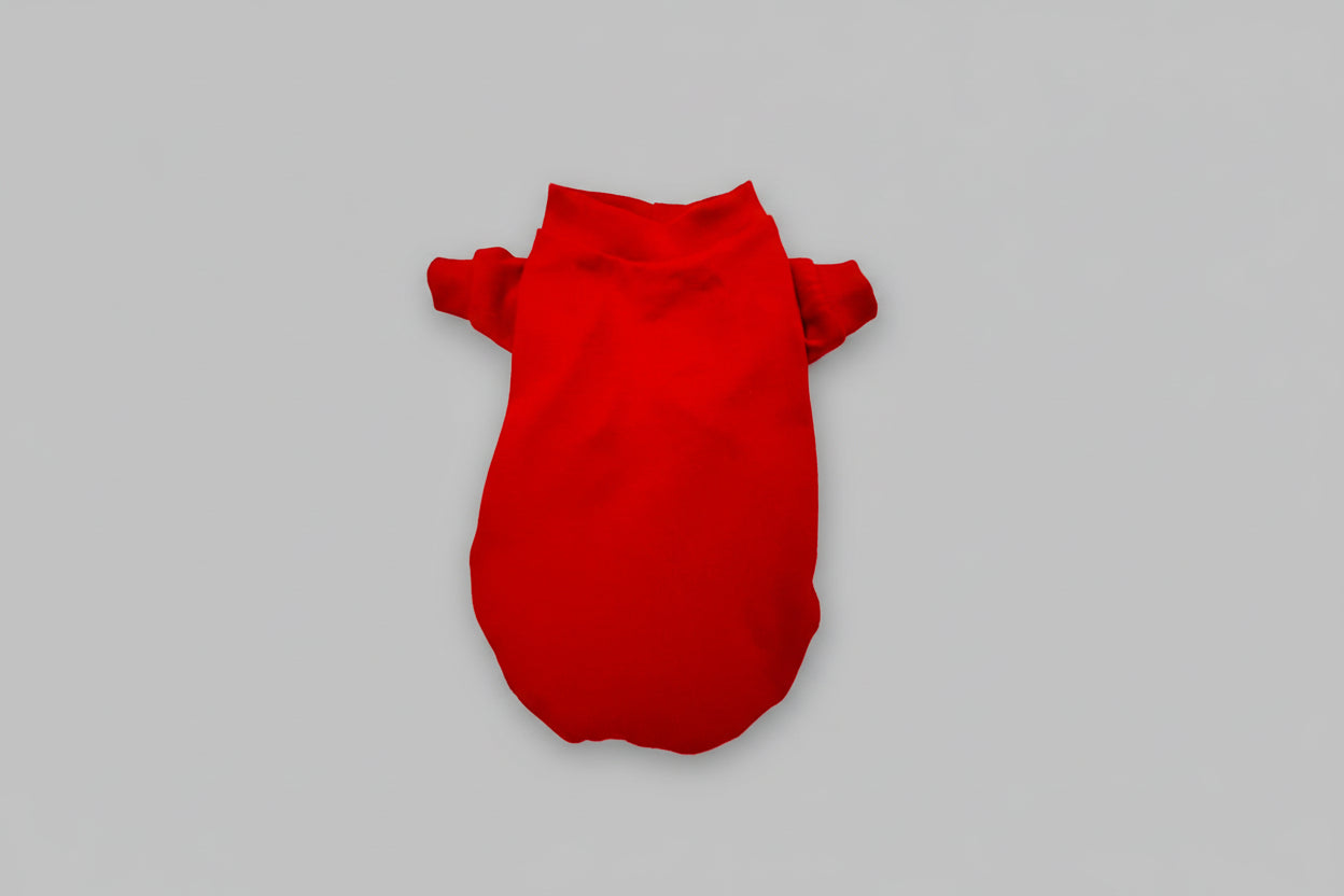 Red dog sweater on a white background