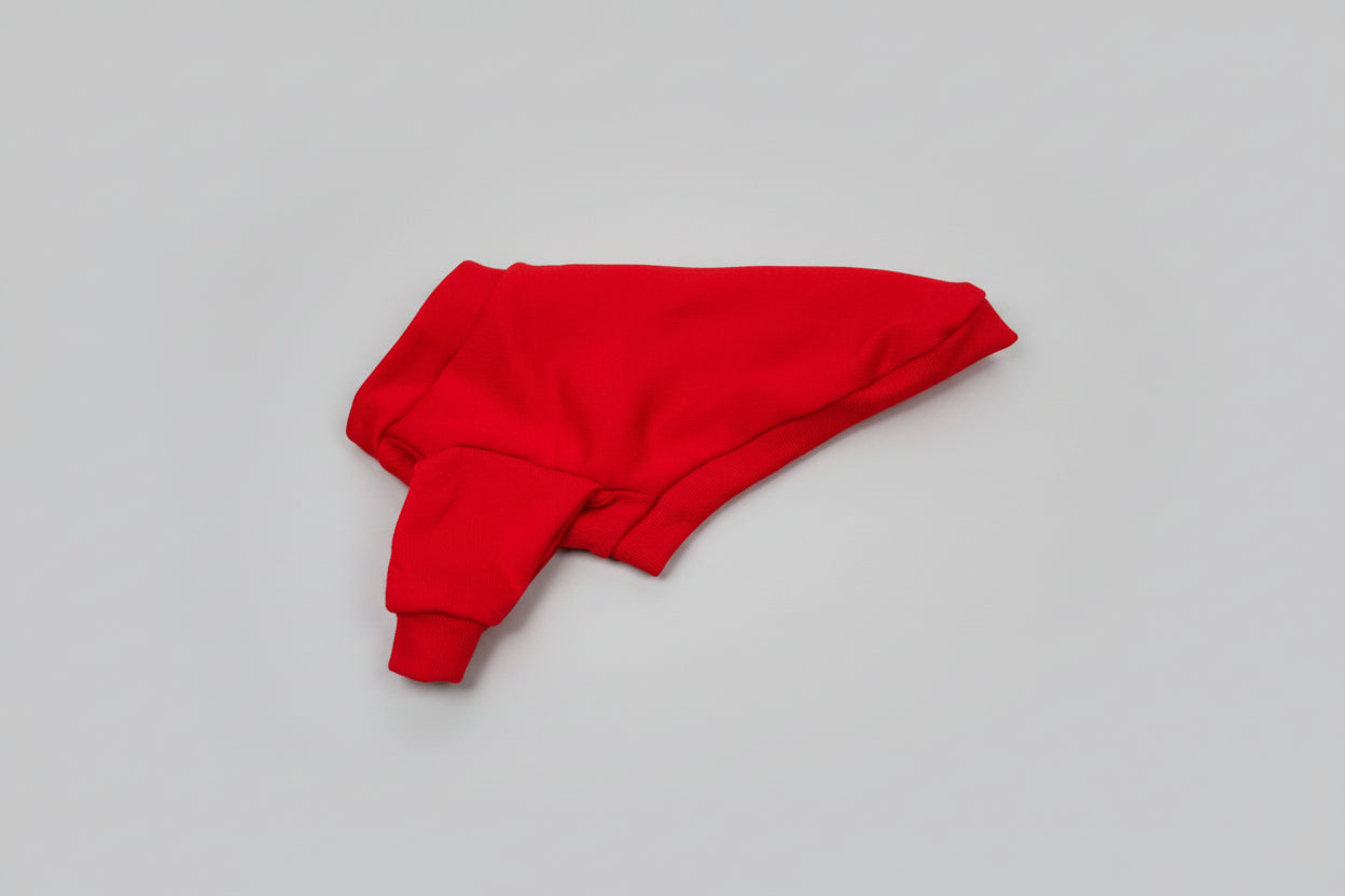 Red dog shirt on a white surface with a needle nearby
