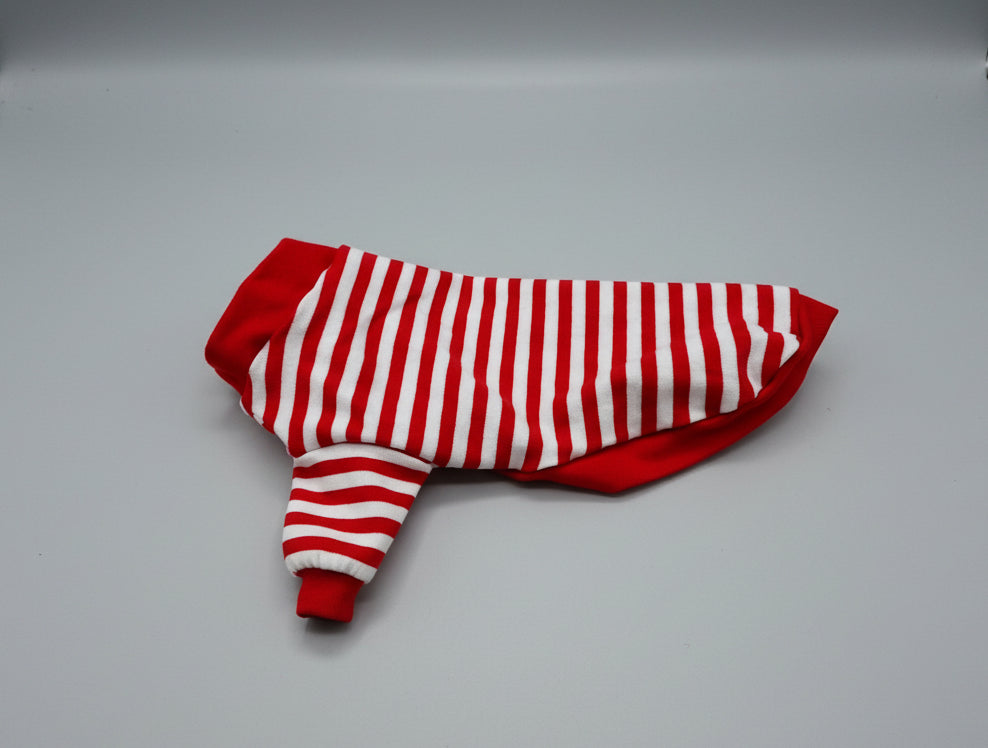 Red and white striped dog sweater on a white background