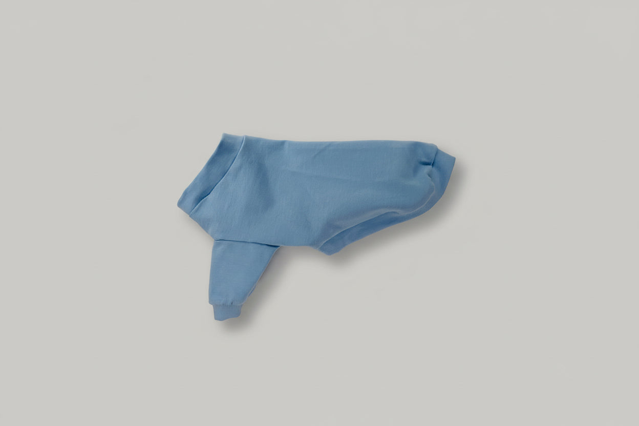 Blue dog shirt on a white surface