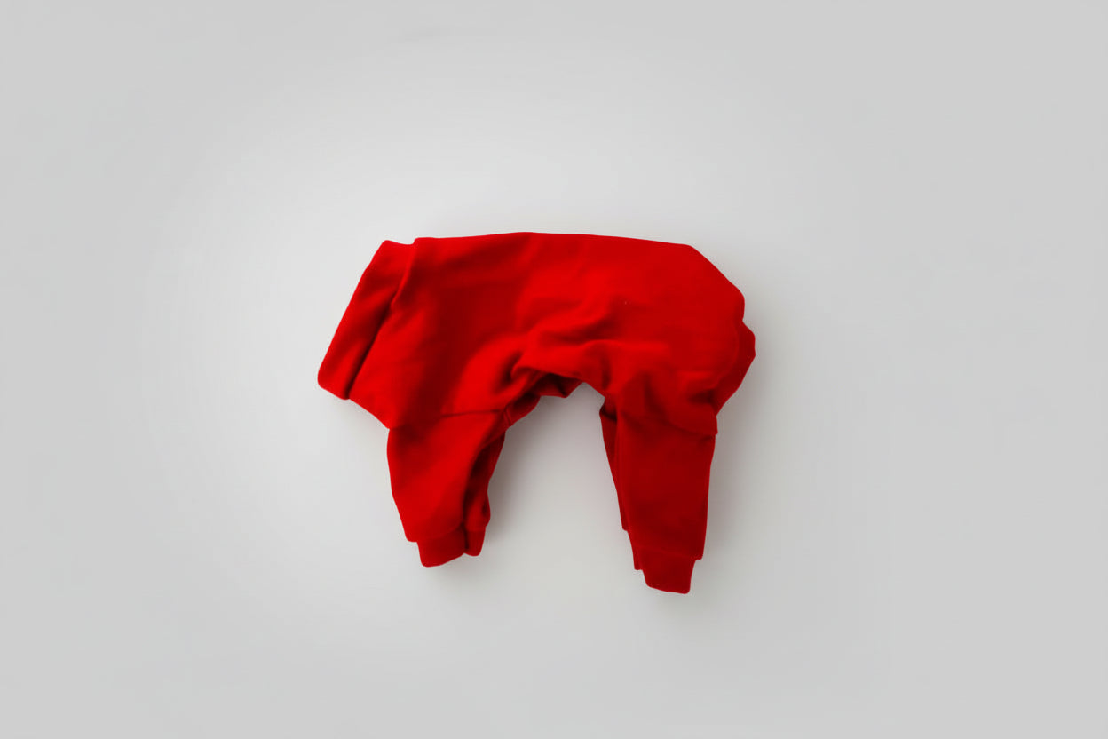 Red dog pajamas on a white background