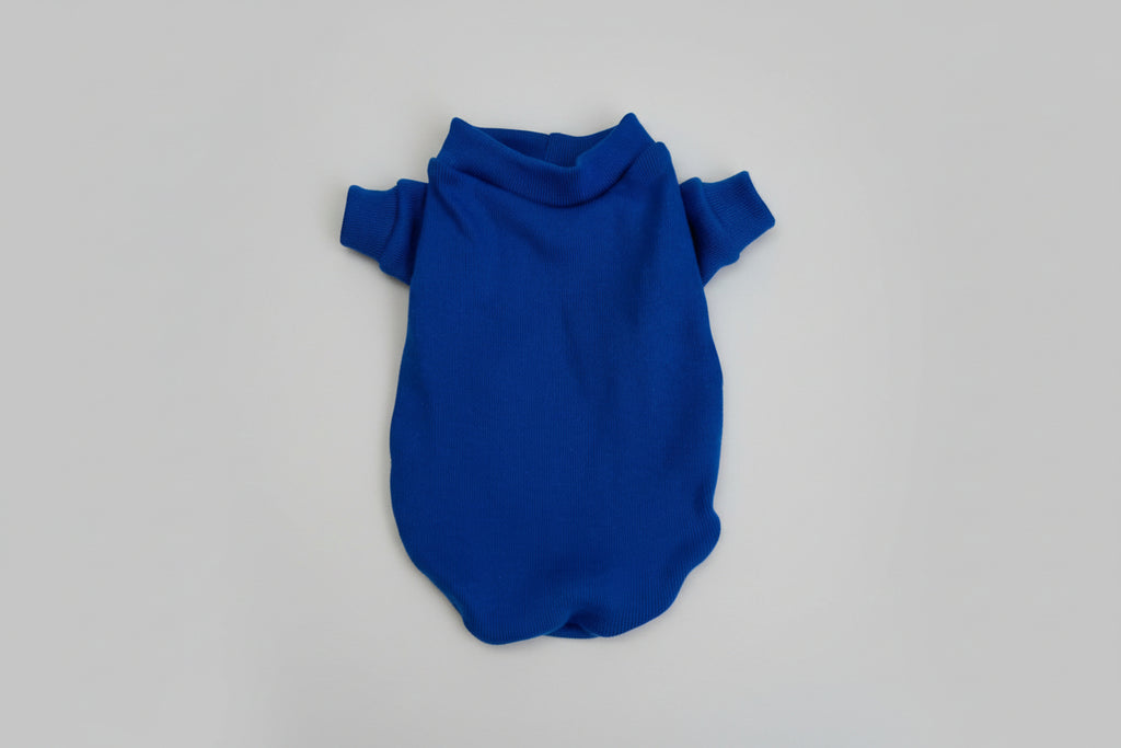 Blue dog sweater on a white background
