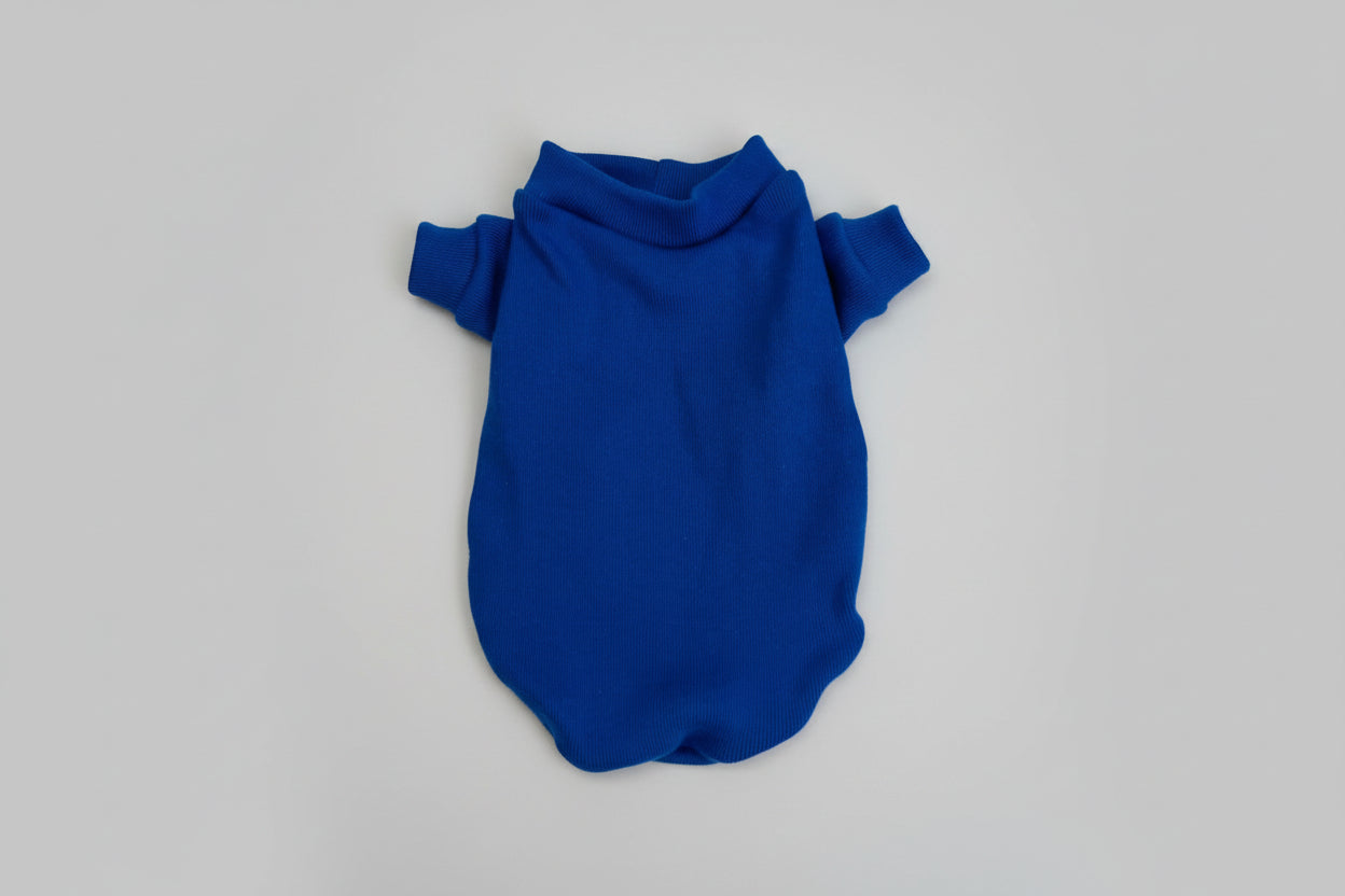 Blue dog sweater on a white background
