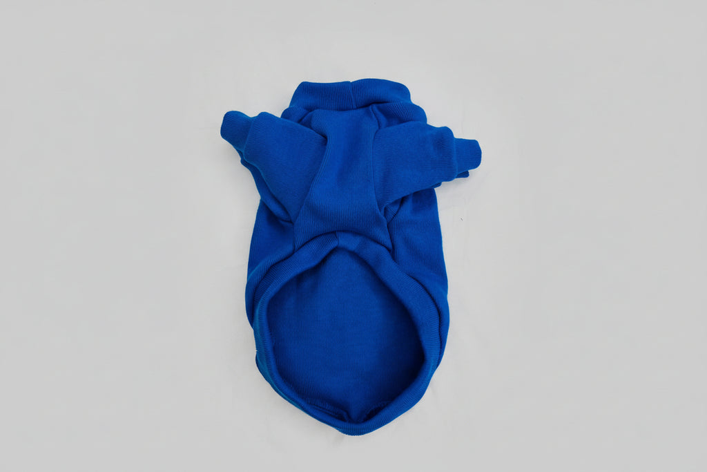 Blue dog sweater on a white background