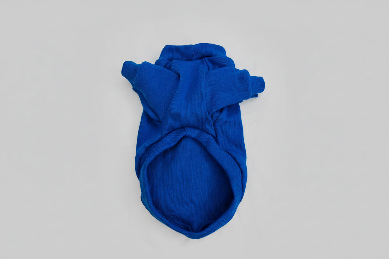 Blue dog sweater on a white background