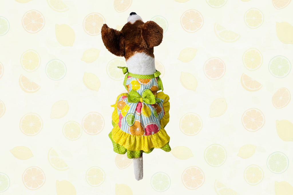 Stuffed animal wearing a colorful dress on a white background