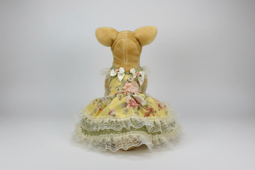 dog in a decorative yellow dress with floral patterns on a white background