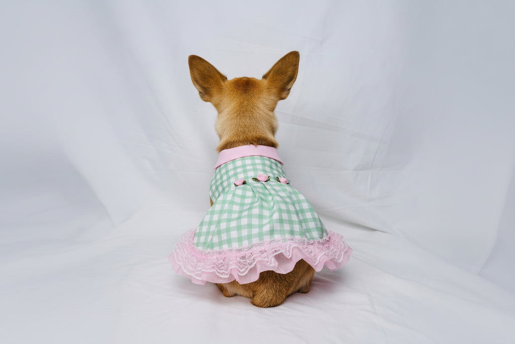 Stuffed animal wearing a green checkered dress with pink trim on a white background