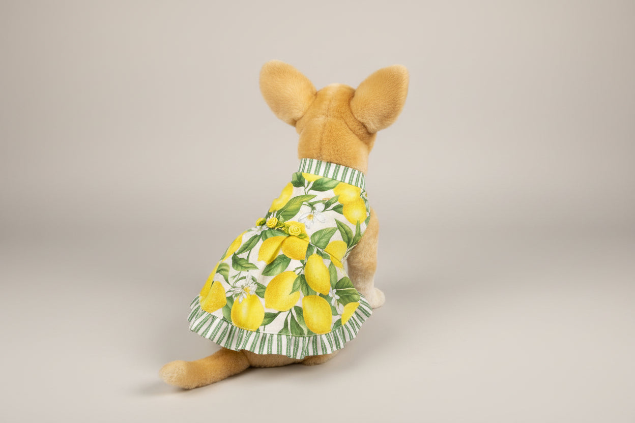 Stuffed animal toy wearing a lemon-patterned dress on a white background