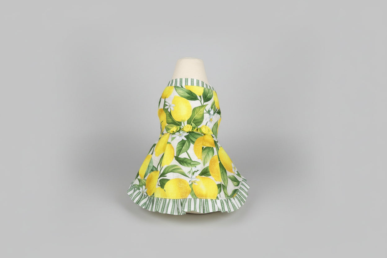 Stuffed animal wearing a lemon-patterned dress on a white background