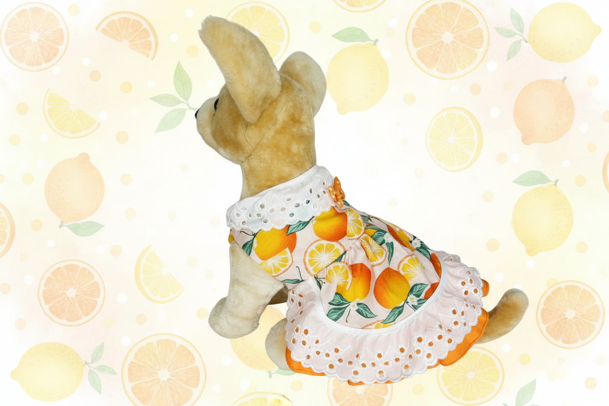 Stuffed animal wearing a dress with a fruit pattern on a white background