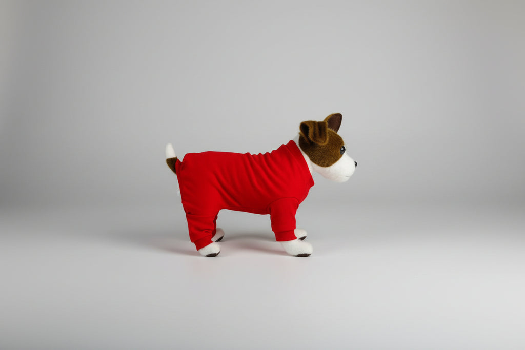 Dog wearing a red outfit on a white background
