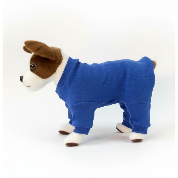 Dog wearing a blue onesie on a white background