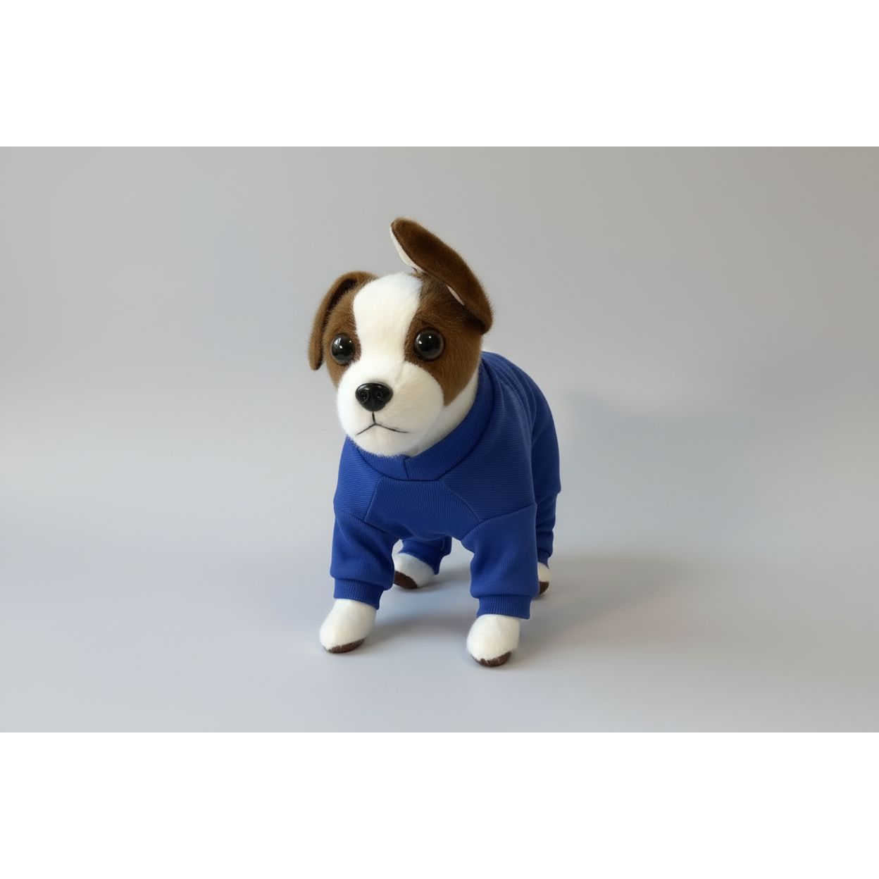 Dog wearing a blue pajamas on a white background