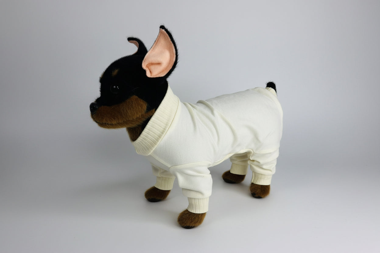 Small dog wearing a white outfit on a white background