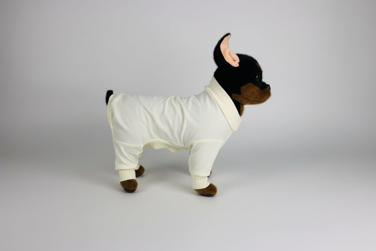 Small dog wearing a white onesie on a white background