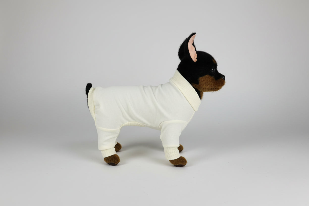 Small dog wearing a white onesie on a white background
