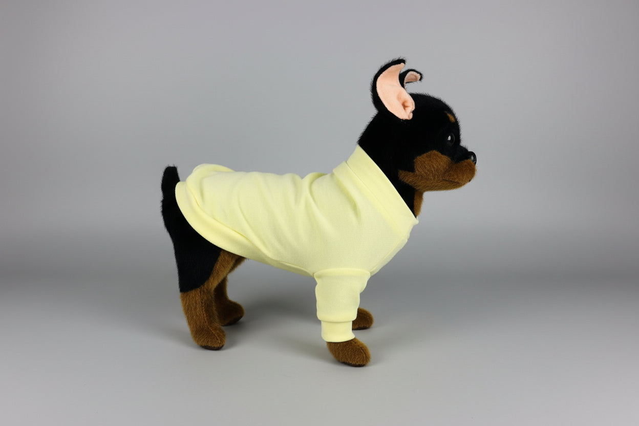 Small dog wearing a yellow shirt on a white background
