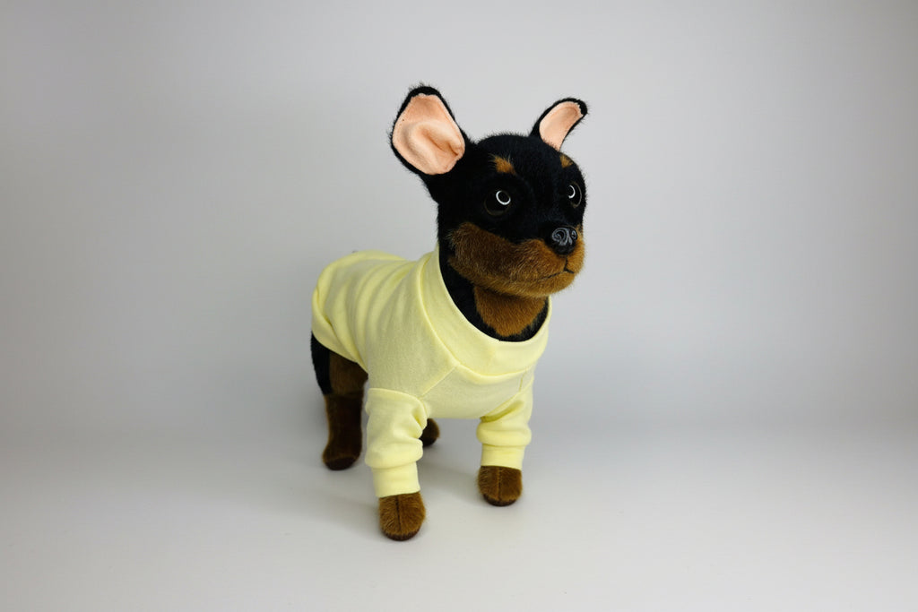 Stuffed dog toy wearing a yellow outfit on a white background