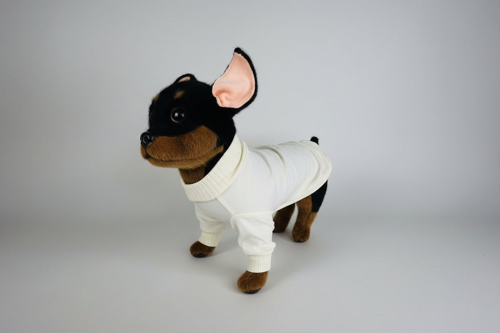 Small dog wearing a beige cotton shirt on a white background