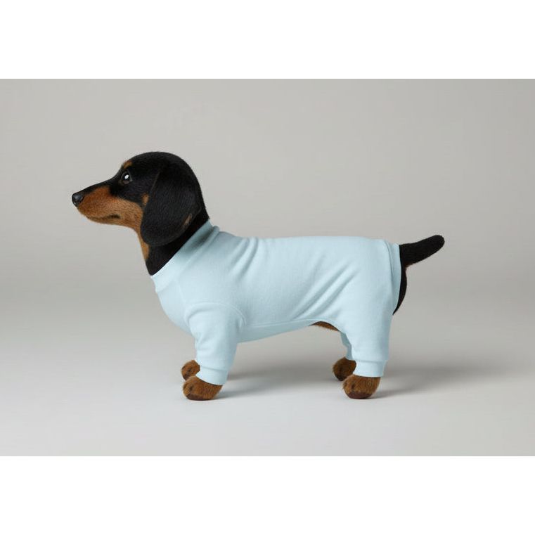 Small dog wearing  baby blue pajamas on a white background