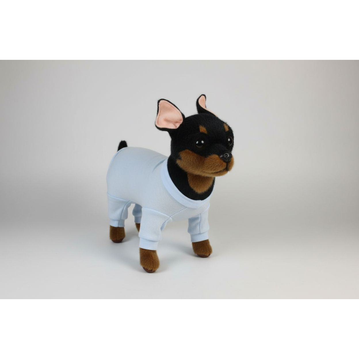 dog in a blue outfit on a light background