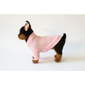 Small dog wearing a pink outfit on a white background