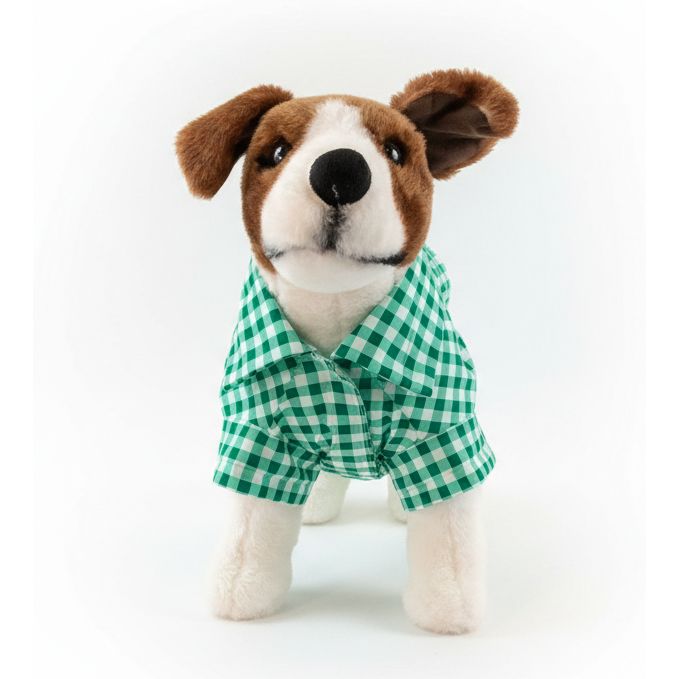 dog wearing green checkered shirt on a white background