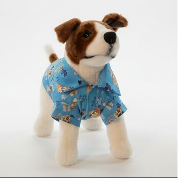  dog wearing a bluey shirt on a white background