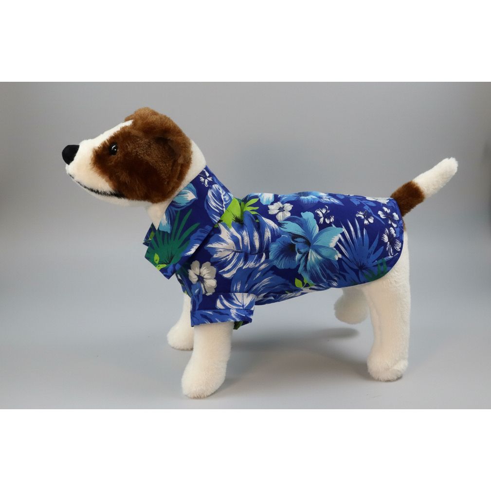 Dog wearing a blue Hawaiian  floral shirt on a white background