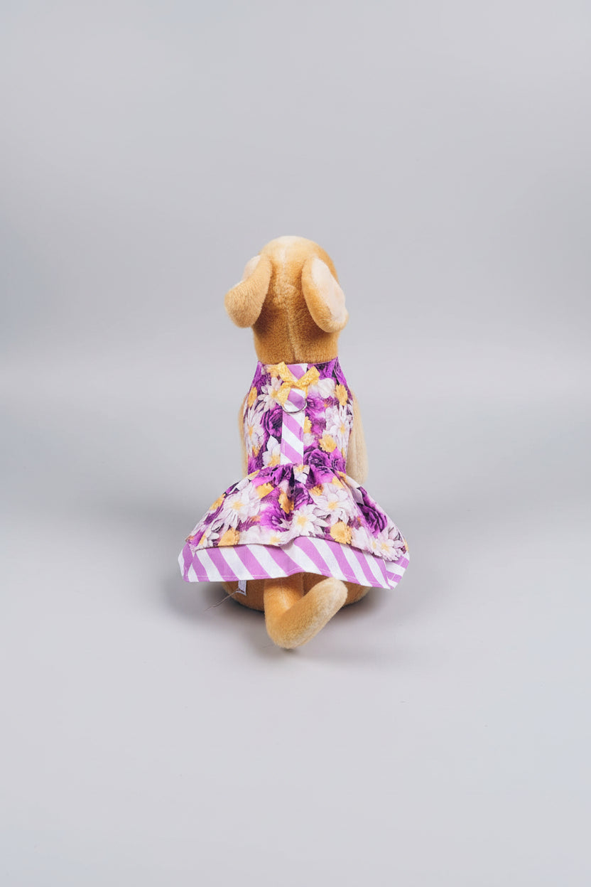 Purple Roses Dog Harness Dress with Matching Leash