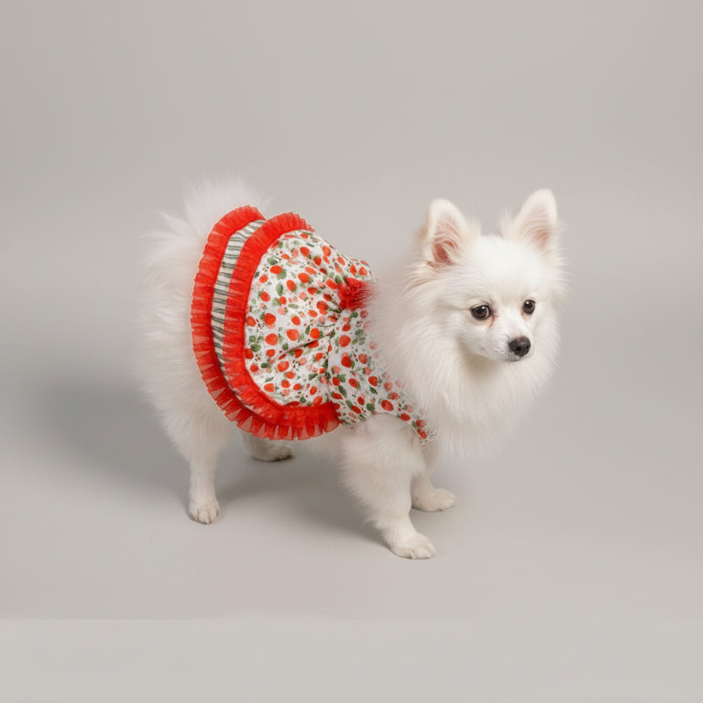 Dog wearing a festive dress with red trim on a beige couch.