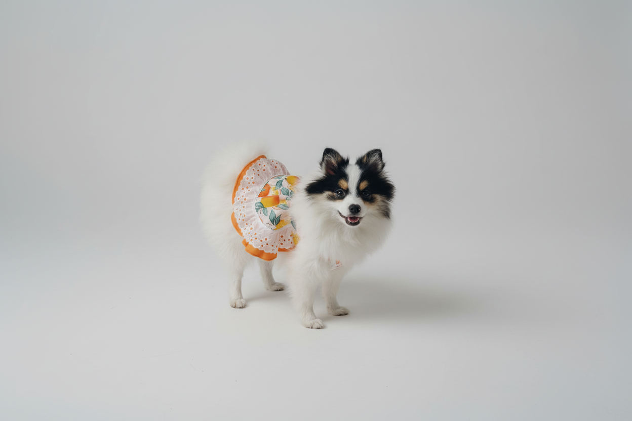 Summer fresh orange treat dog dress