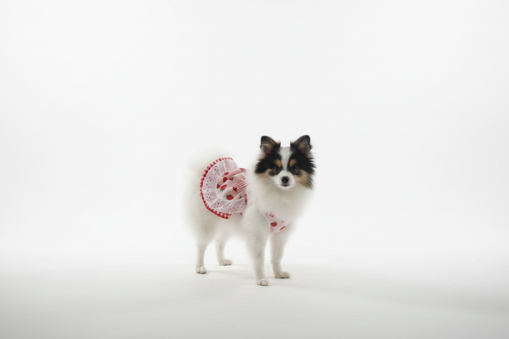 Adorable red delicious strawberry pattern dog dress