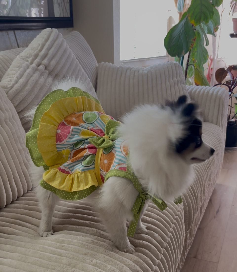 Summer citrus summer dog dress